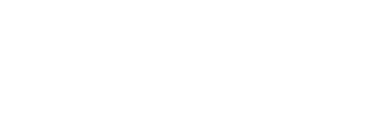 Liga ACE